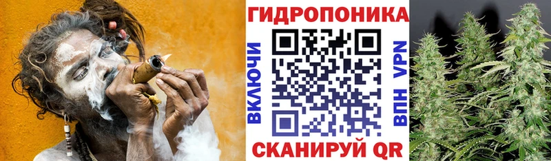 МЕГА   Салават  Канабис семена 